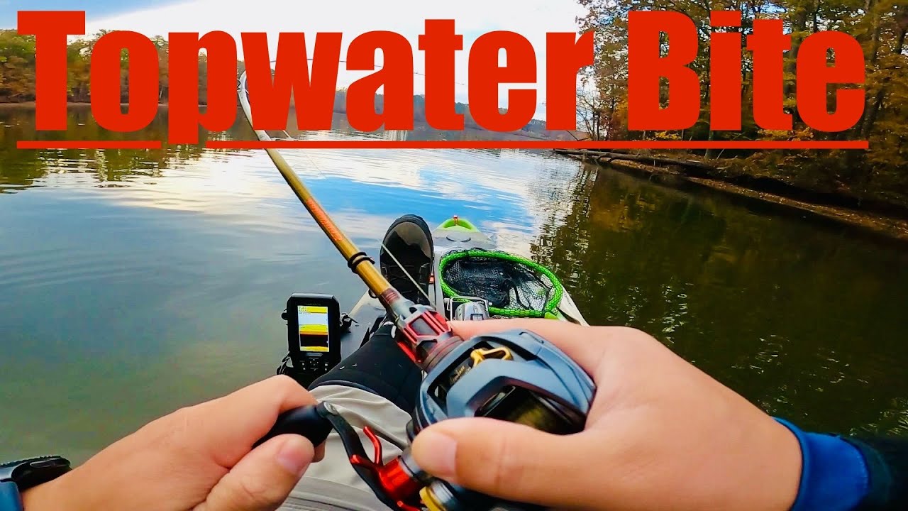 Got on a few TOPWATER bites this morning.High Rock Lake,NC Buddle Creek Evergreen Shower Blows 77.7