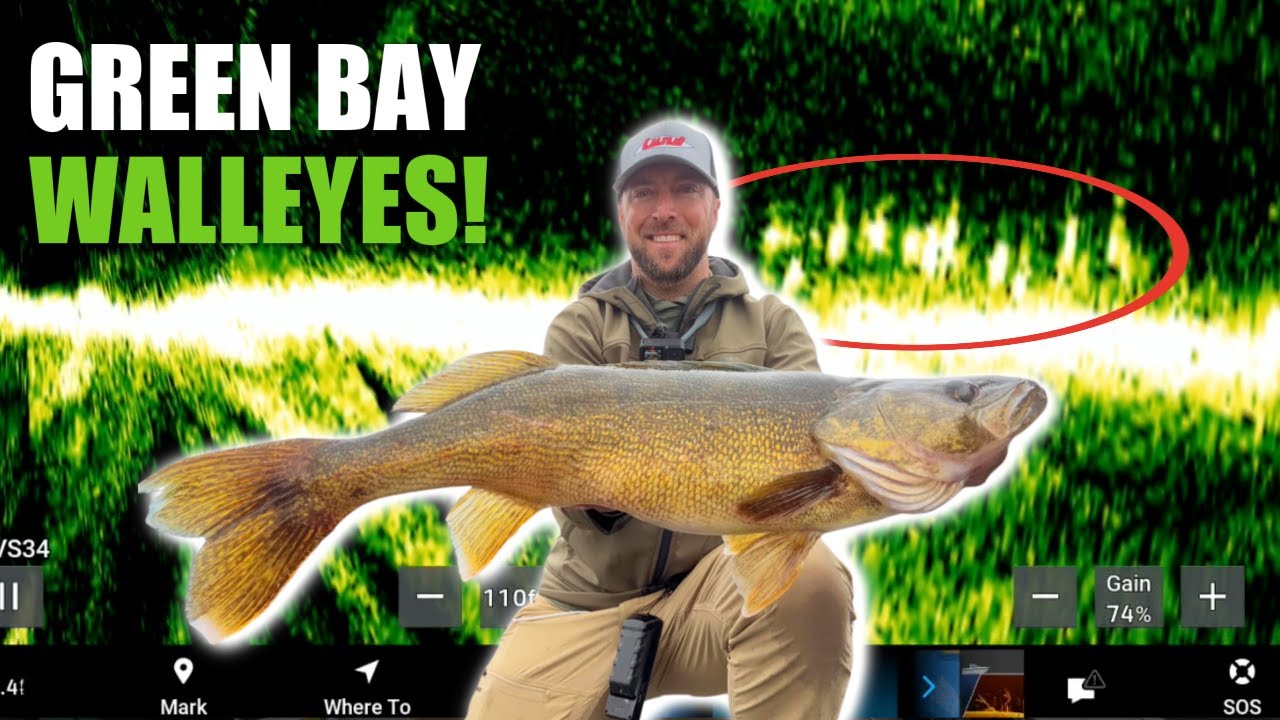 Catching BIG Late Summer WALLEYES with Livescope on Green Bay!