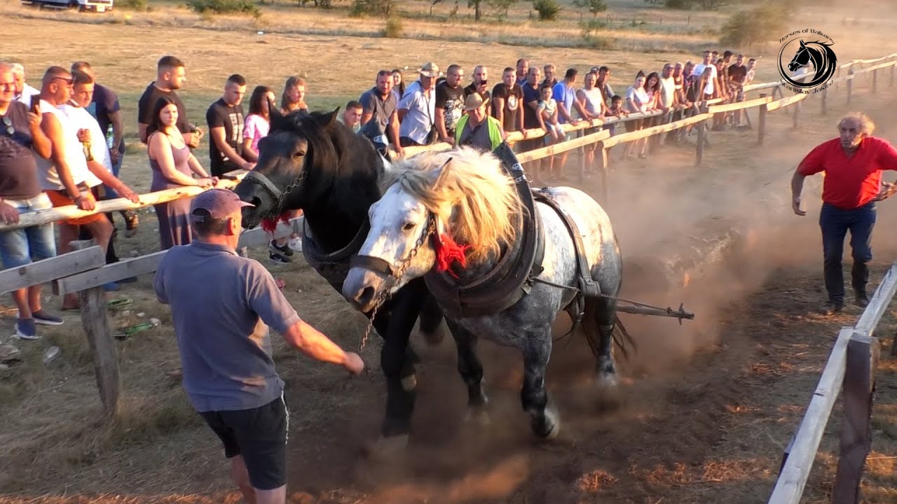 -ZIS PREVUKAO DUCELJU NA TERETU TEŠKE U PREKAJI -
