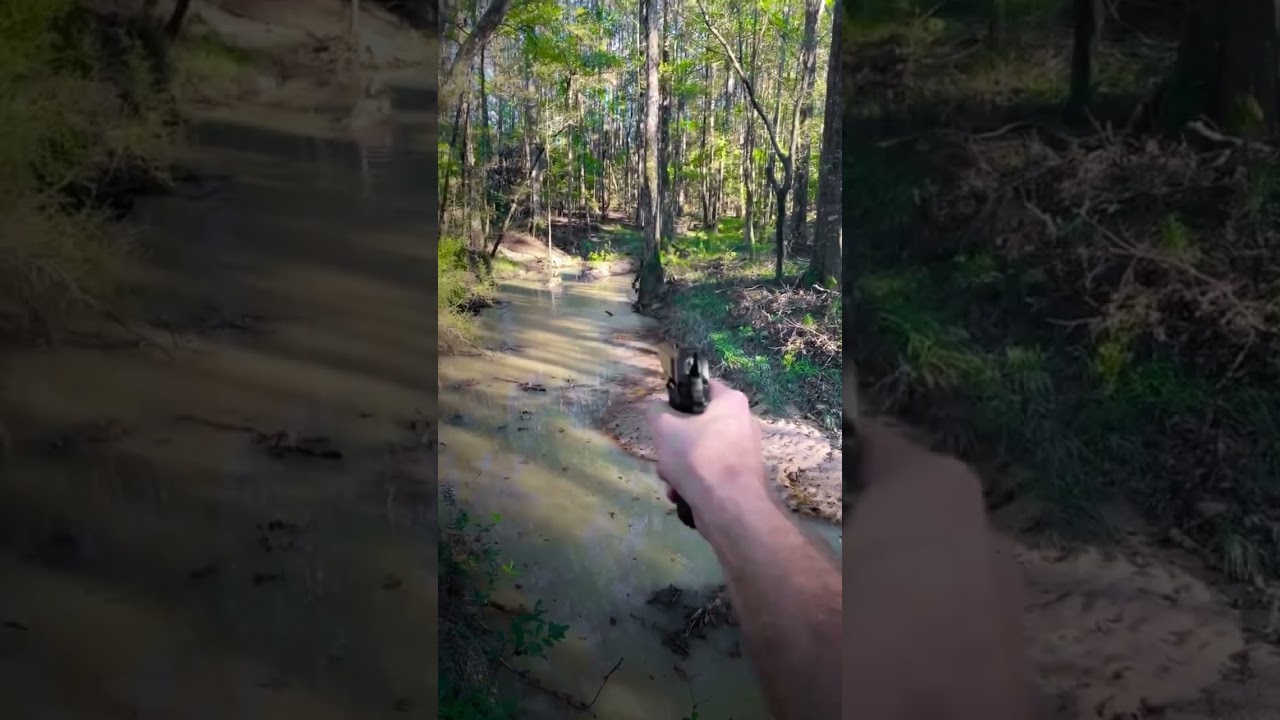 Colt Government 1911 .22