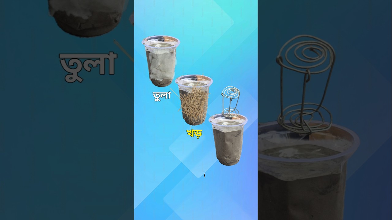 which cement glass will be stronger? #shorts #shortvideo