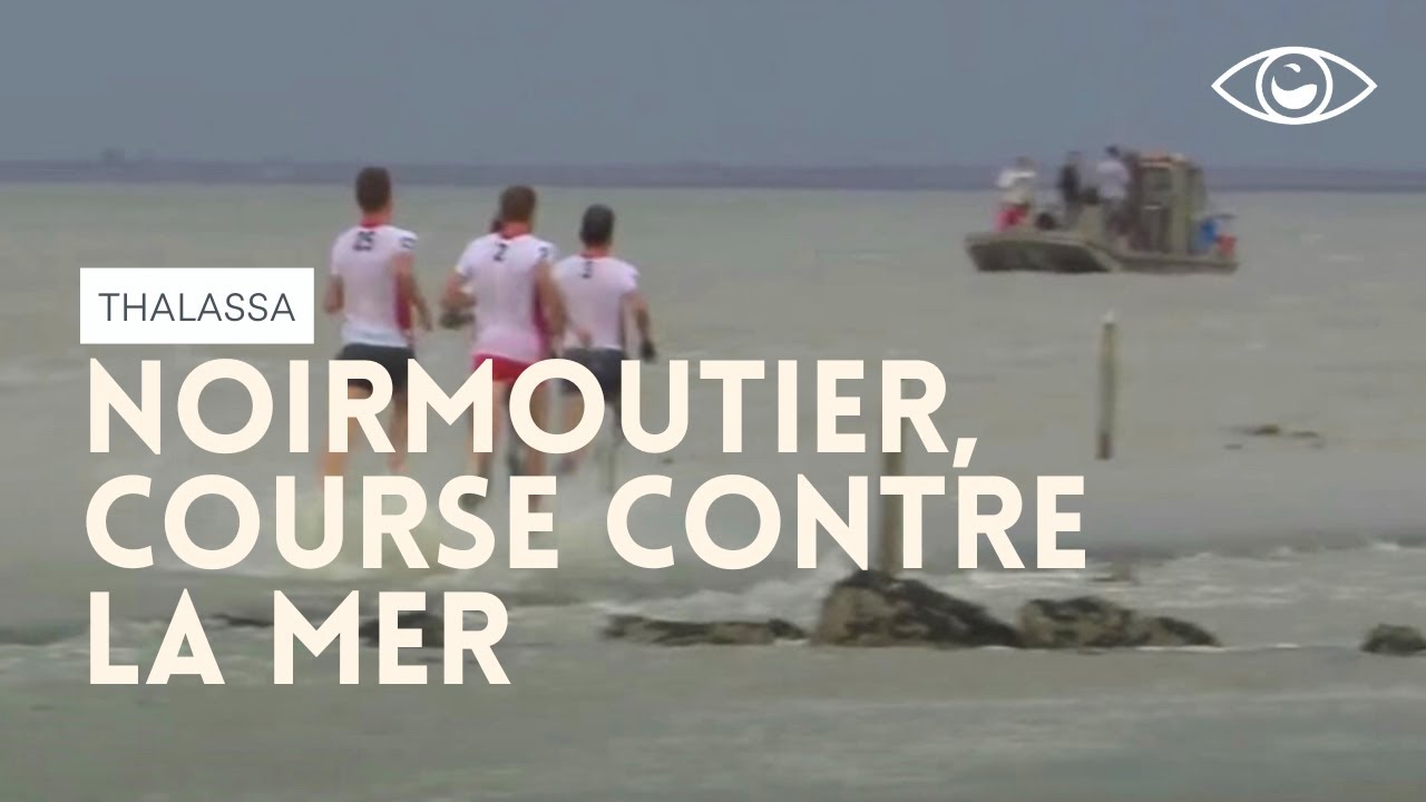 Noirmoutier, course contre la mer - Thalassa