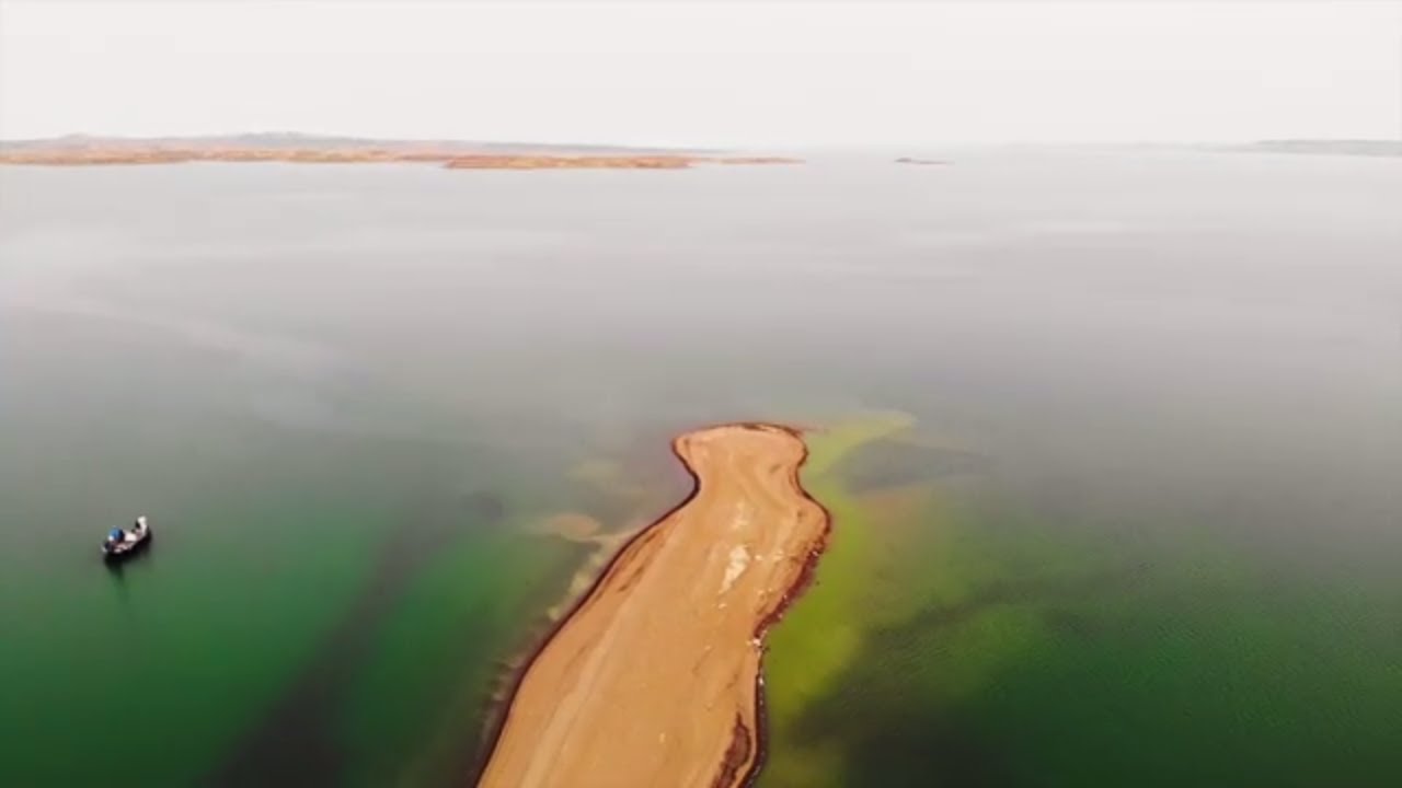 Каденс, чемпион по плаванию в Беркли, в водорослях