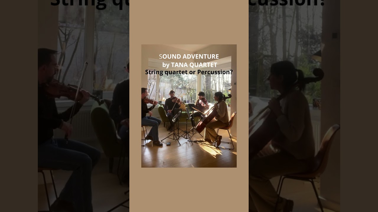SOUND ADVENTURE: Percussion on Strings:Col Legno Battuto 