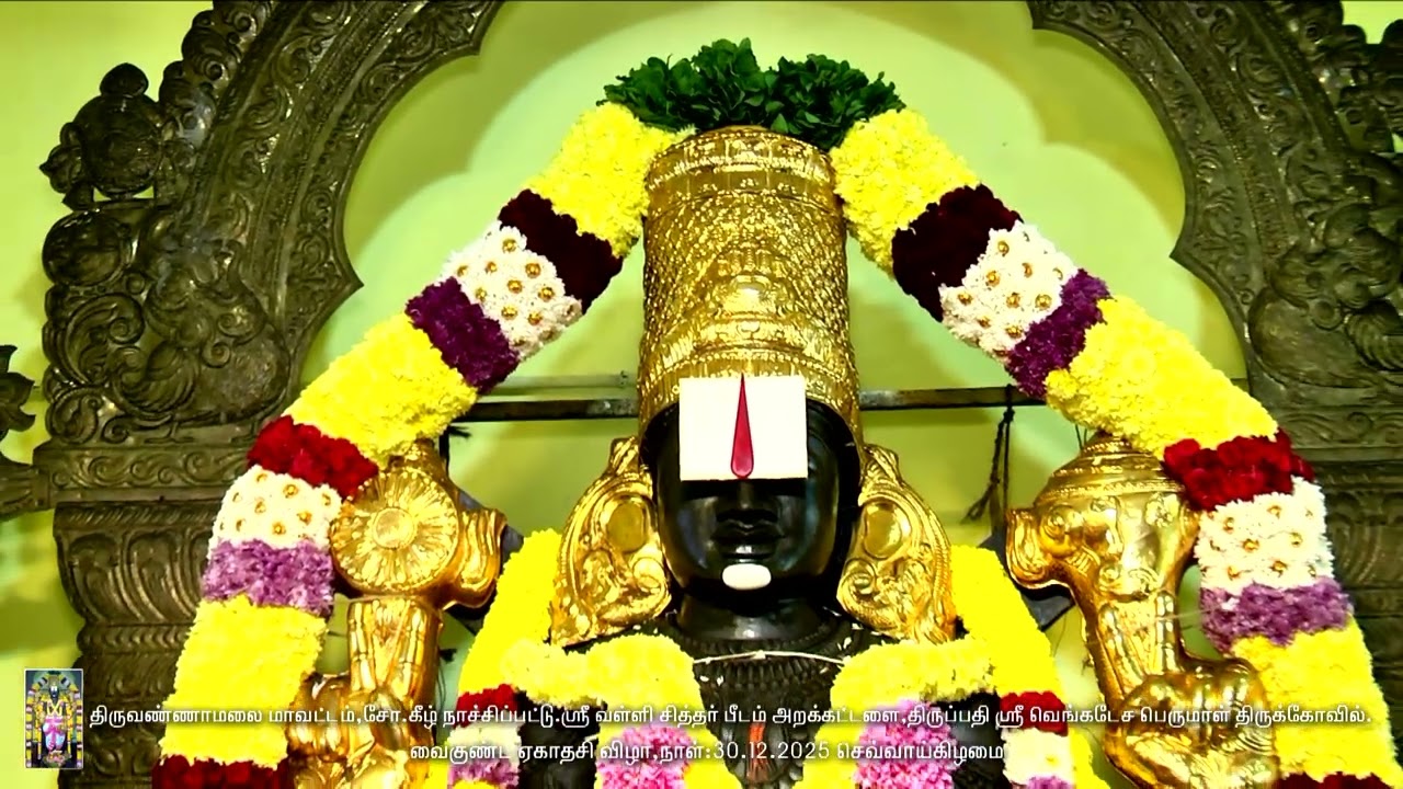 திருவண்ணாமலை ஸ்ரீ திருப்பதி வெங்கடேச பெருமாள் திருக்கோவில் ஸ்ரீ வைகுண்ட ஏகாதசி திருவிழா -2026