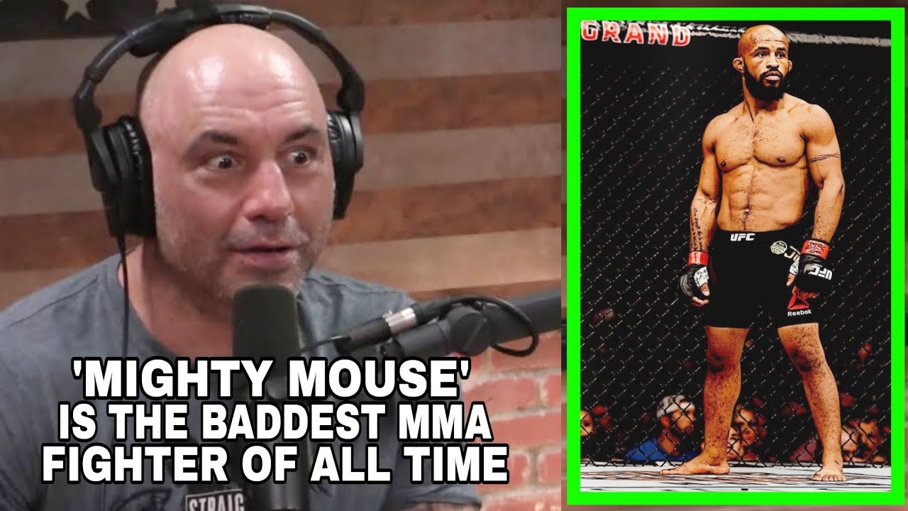 Joe Rogan talks 