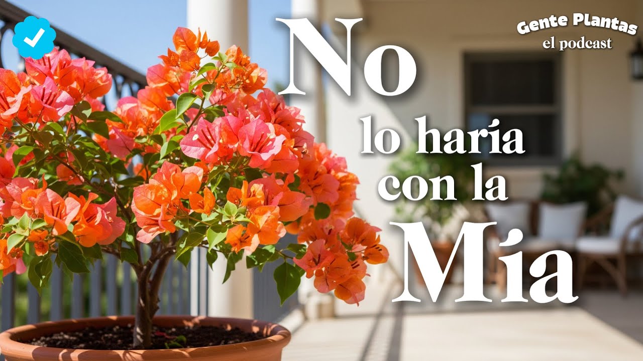 ¿Debes Podar Tu Buganvilla? | Gente Plantas