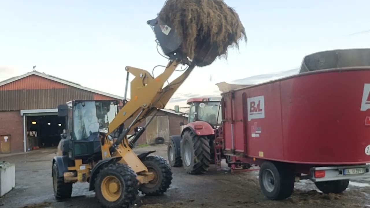 #tractor #cows #lantbruk maskiner 