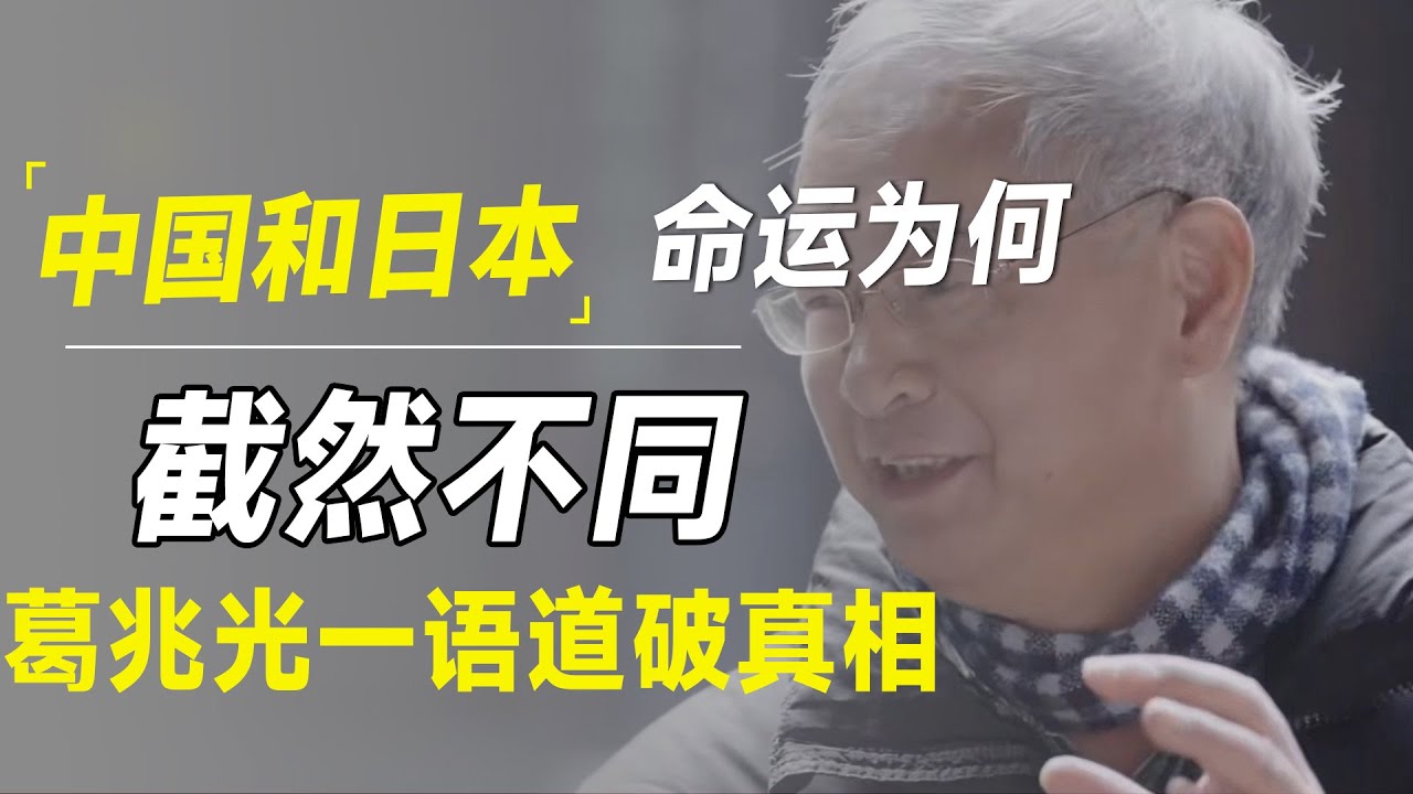 2025年中国经济“日本化”，但与日本的命运却截然不同？葛兆光一语道破真相