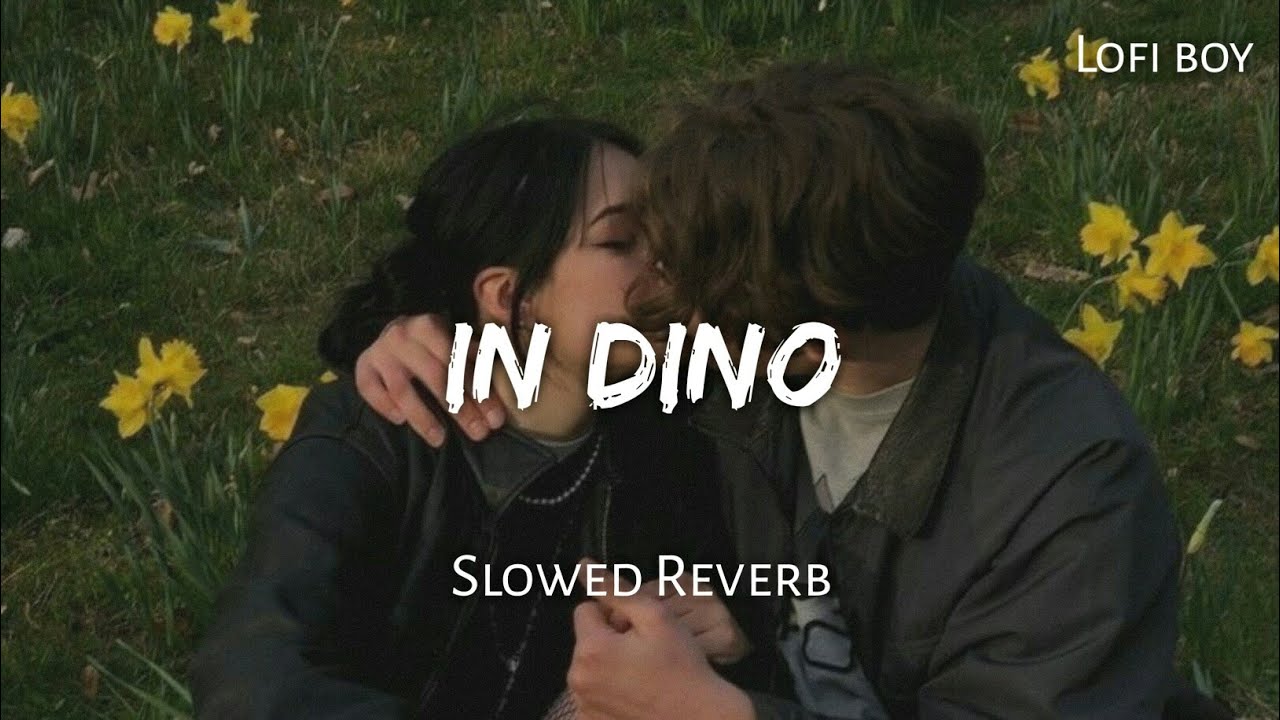 In Dino (Slowed Reverb) | Pritam |Lofi Boy