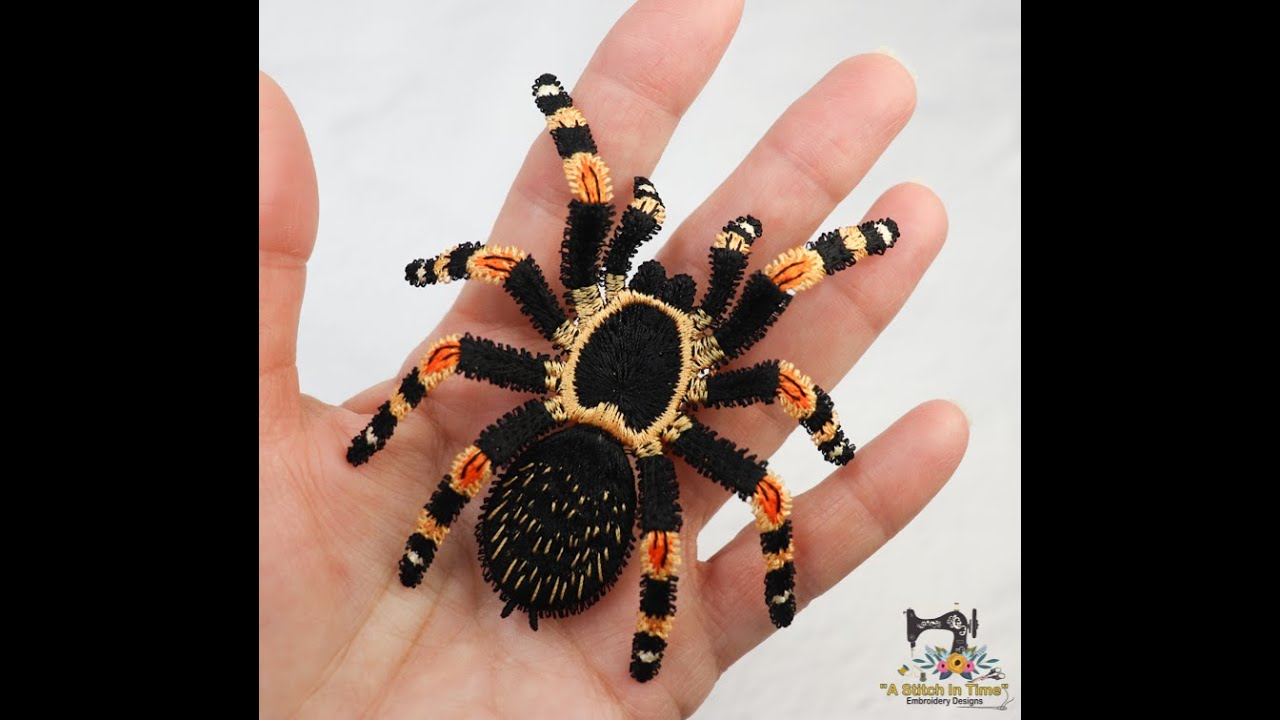 Видеоинструкция ASIT FSL Red Knee Tarantula