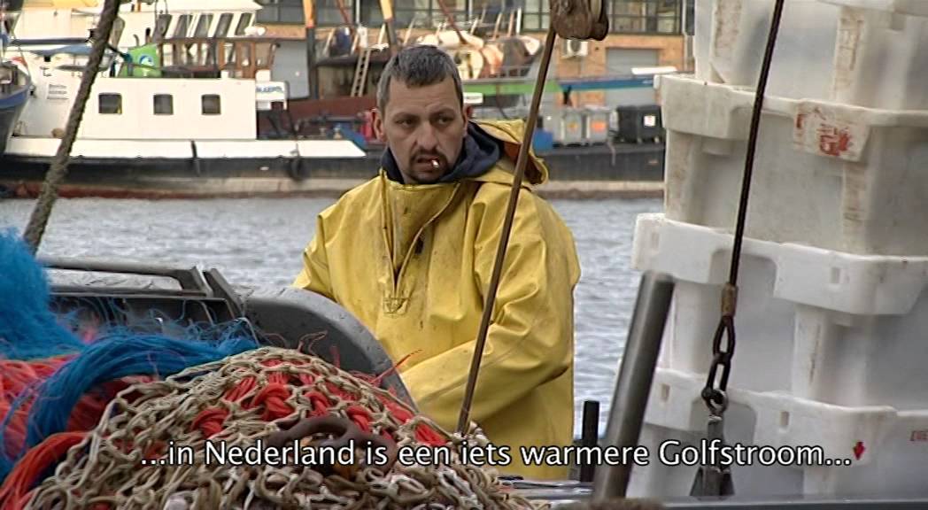 FOOD CENTRAAL op de visafslag in IJmuiden