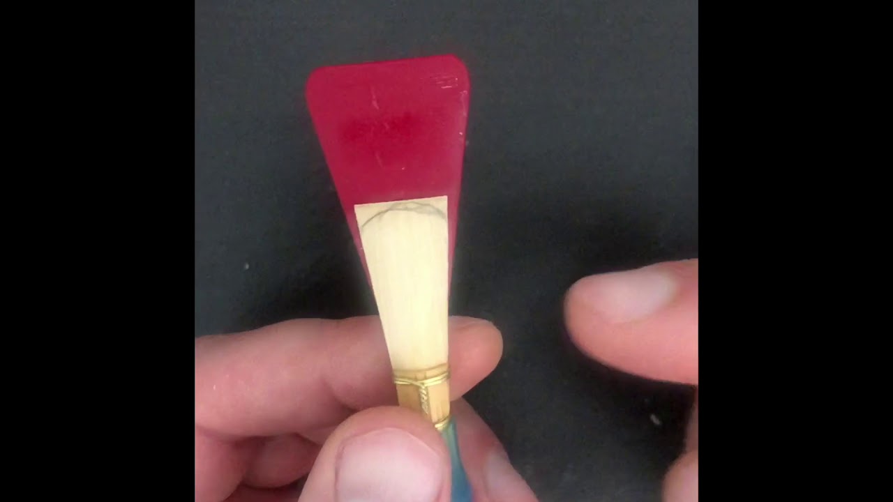 Bassoon Reed Day 1