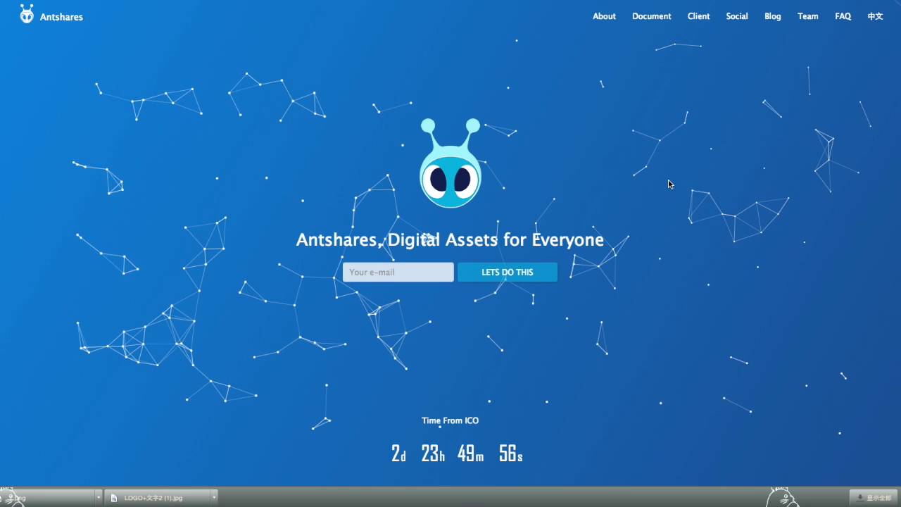 Antshares ICO Rule & Process