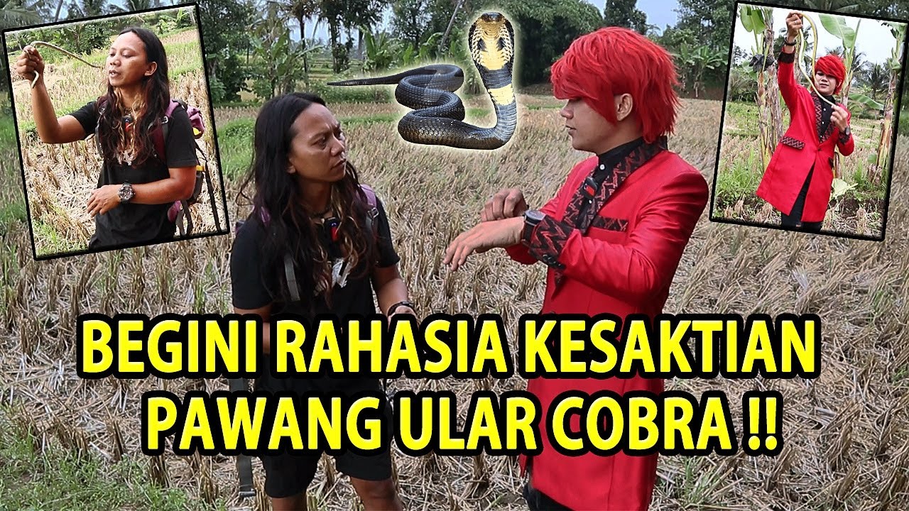 TERBONGKAR TOTAL !! Rahasia Kesaktian Pawang Ular Cobra - ILMU MERAH x Dede Inoen