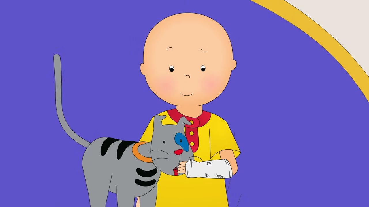 Caillou bir kemiğini kırıyor! | Çocuklar için çizgi filmler | Caillou Türkçe