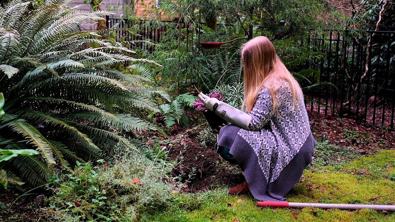 Rainy Days at Home in Washington | Greenhouse Harvest, Tea & Winter Blooms