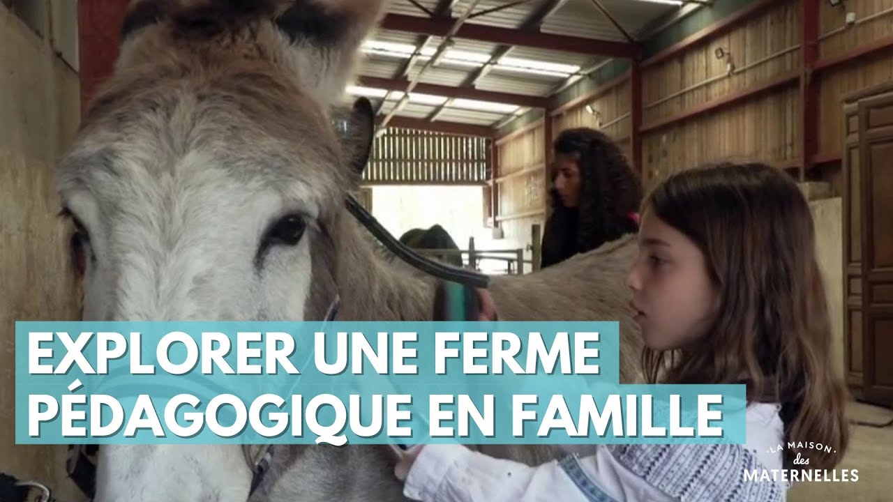 Explorer une ferme pédagogique en famille - La Maison des maternelles #LMDM