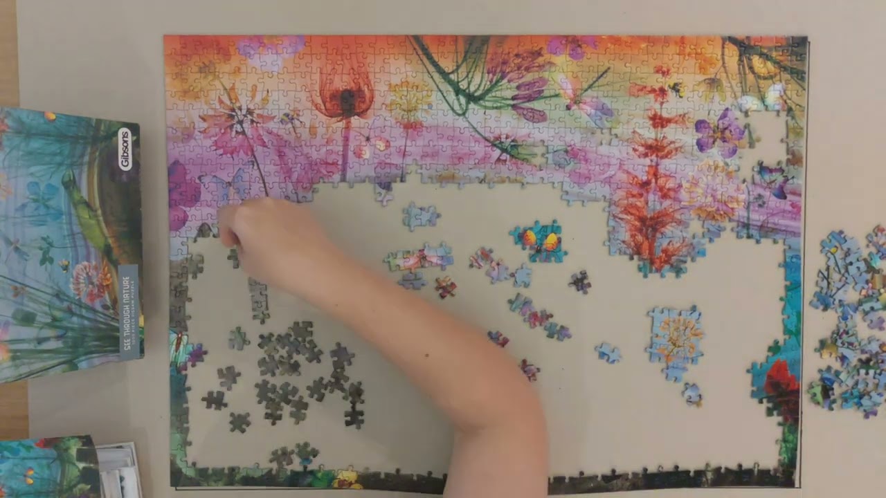 Time lapse puzzle - Gibsons, See through nature, 1000