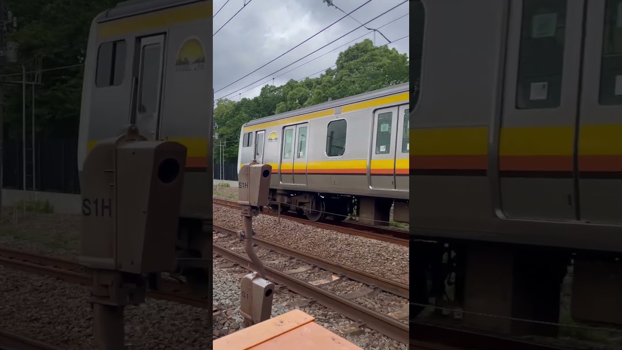 Nambu Line Series E233, running through Yako railroad crossing around Kawasaki St.