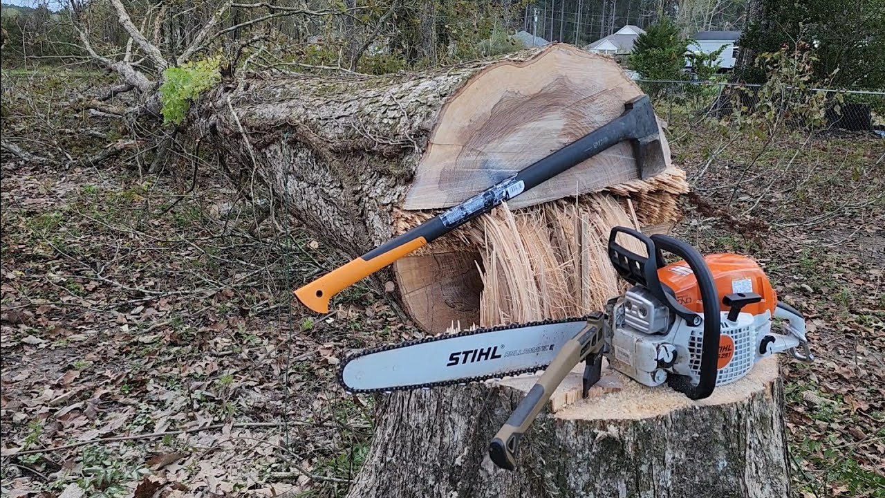 STIHL MS 291 SHREDDS ENTIRE TREE!