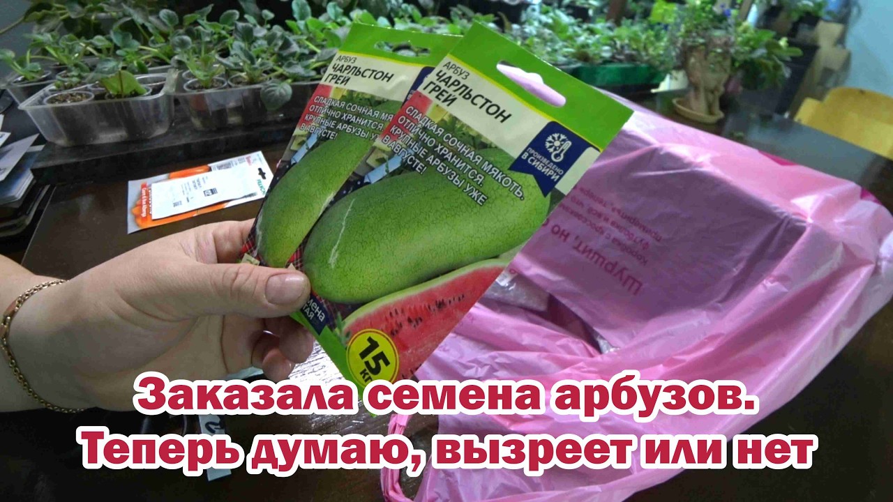 Обзор покупок с маркетплейсов: семена томатов и арбузов, термометр, закваска для сыров, ломтерезка