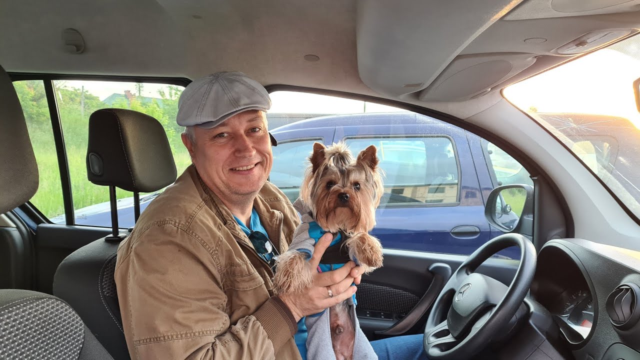 Влог : Что купили/Дорога домой/Обзор ПОКУПКИ 🚙