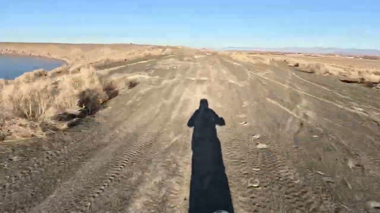 Raw Nevada desert. 2025 Crf250rx.