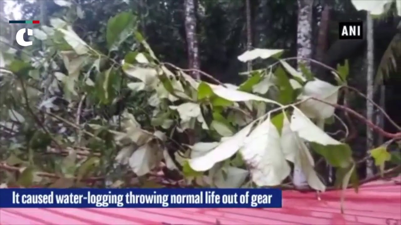 Kerala Rains: Heavy rains wreak havoc in Kerala's Alappuzha