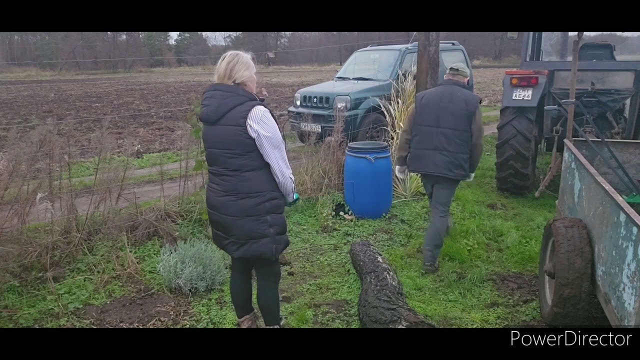 Jak zadbać o maliny teraz aby pięknie plonowały