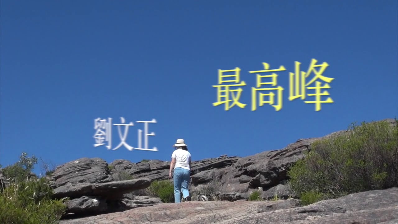 最高峰  劉文正