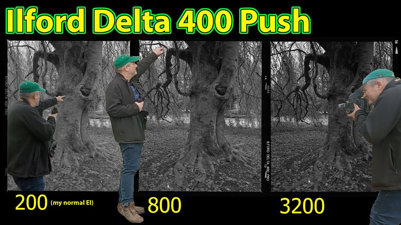 The Delta 400 