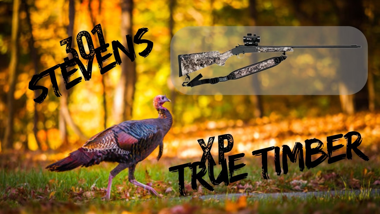 New! Stevens 301 Turkey XP 20 Gauge