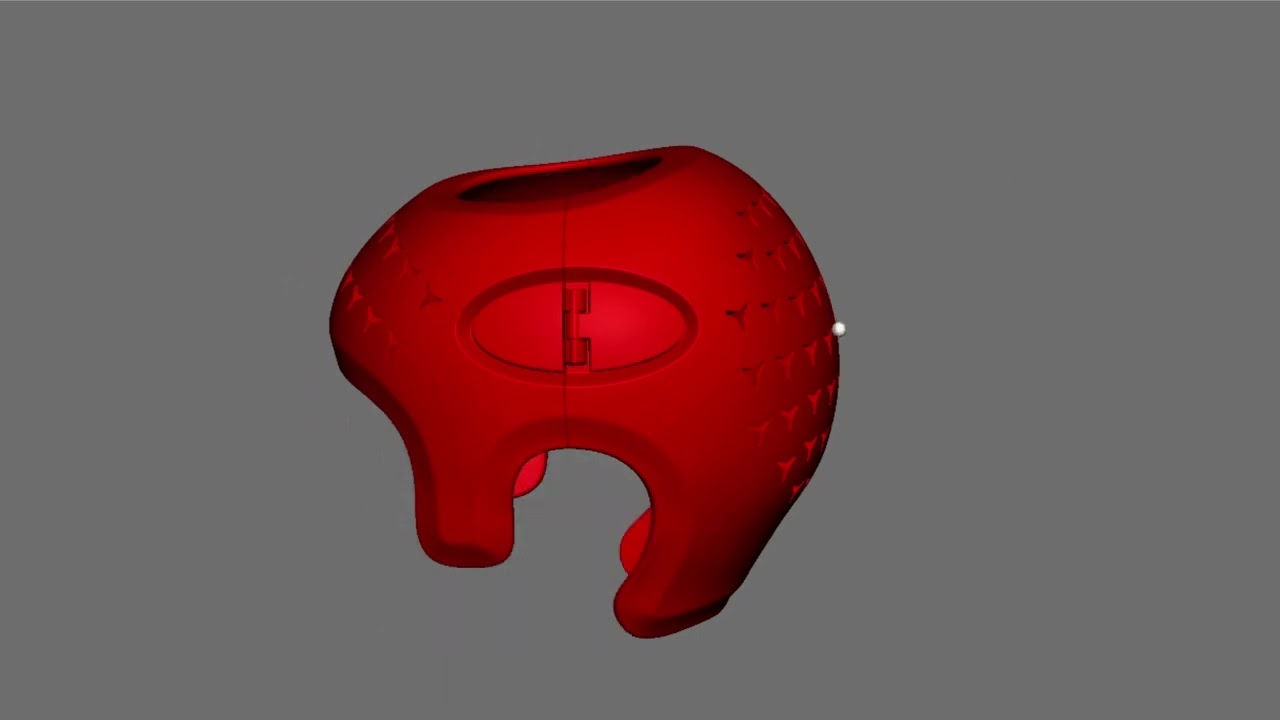 3d Printed Cranial Orthosis