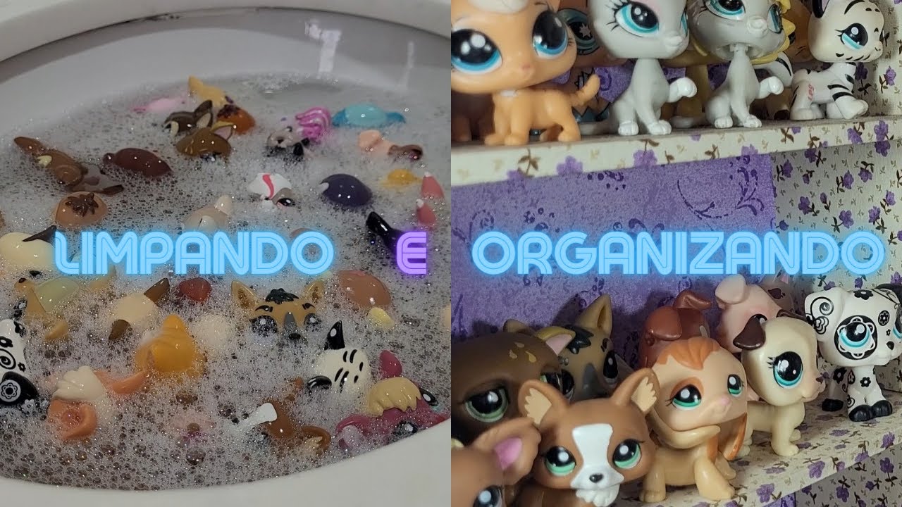 LPS - Limpando e organizando meus pets 🛁