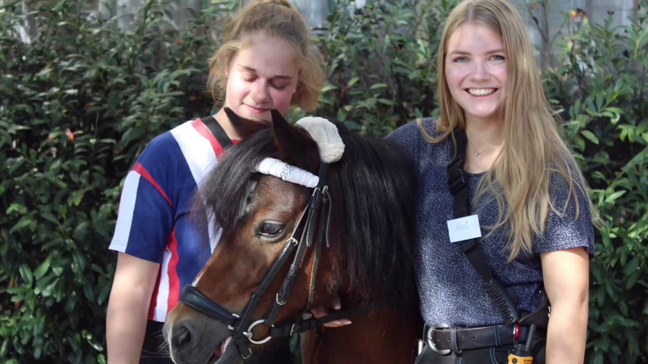 Woltermann Sommer 5&6 Nrw 19❤️