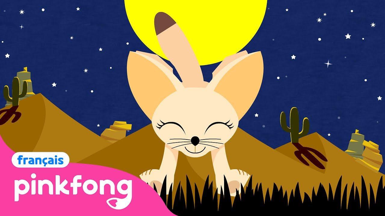 🦊Le Fennec | Chansons d'Animaux | Pinkfong Baby Shark en français ! Chansons pour Enfants