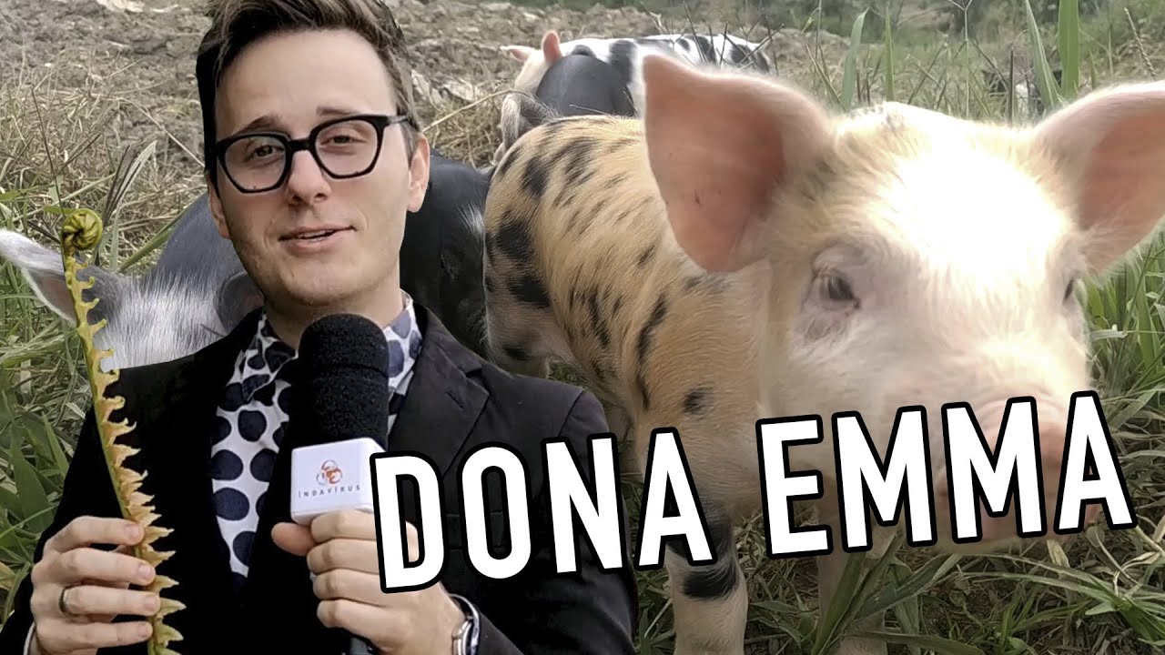 DONA EMMA SANTA CATARINA - Parte 1 (JORNAL INDAVÍRUS #48)