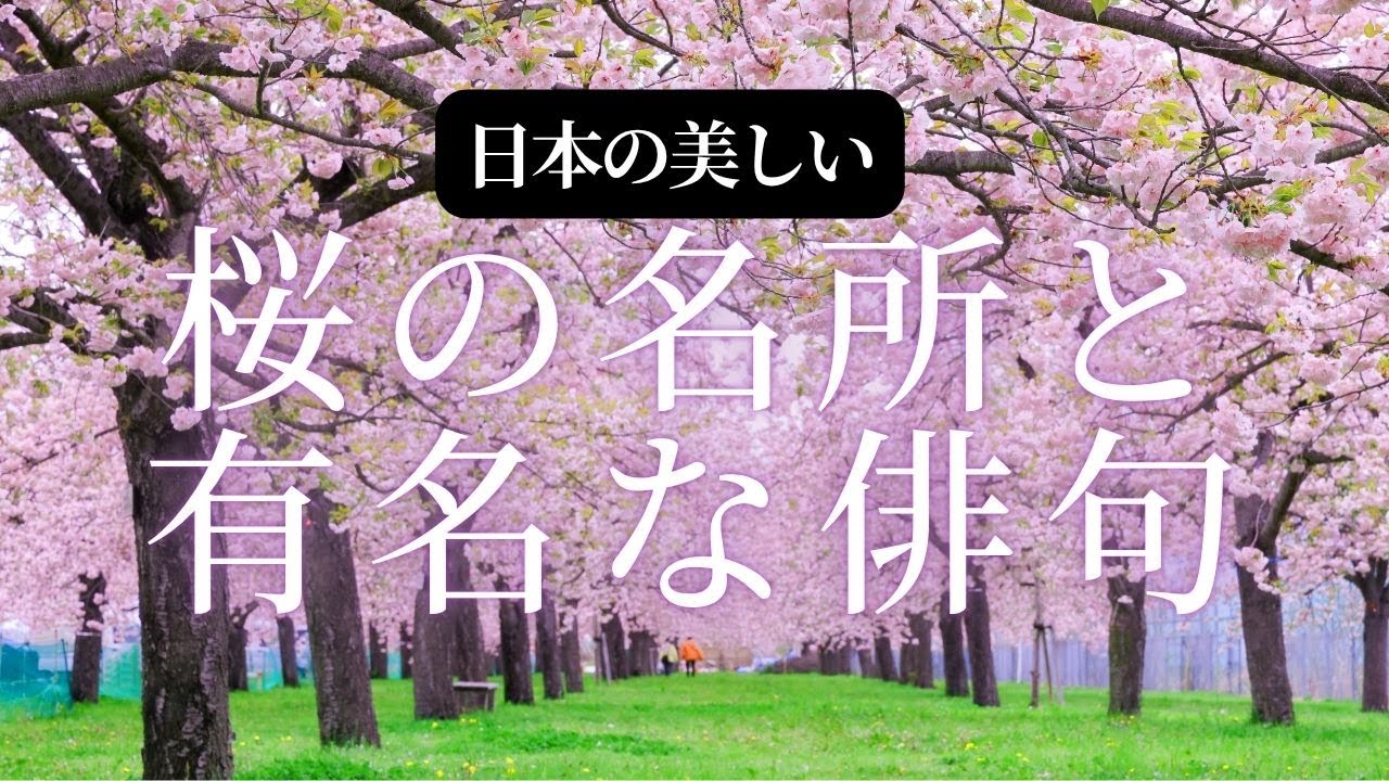 桜の名所と有名な俳句朗読