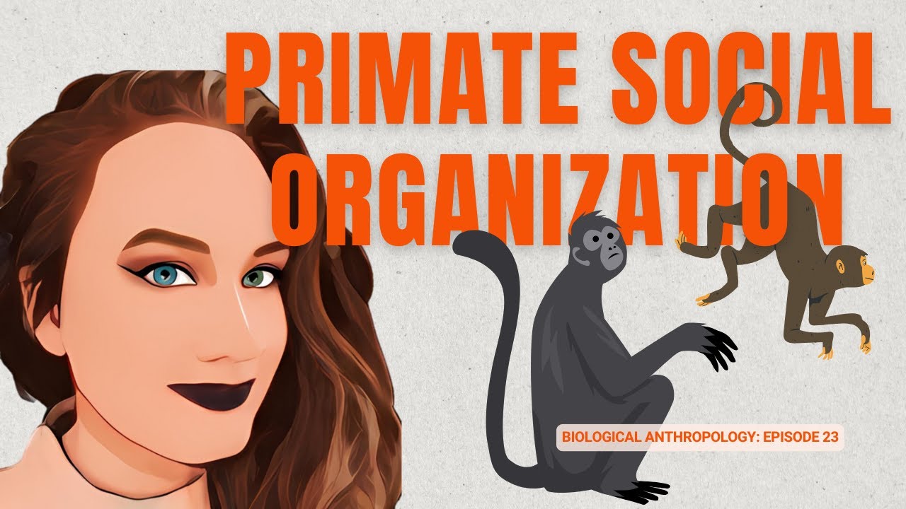 DR H EXPLAINS: Primate Social Systems