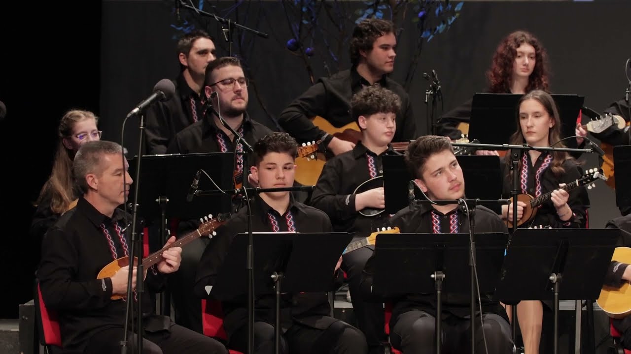 46. MFUTG Tamburaški orkestar općine Semeljci SLAVONSKIM STRNJACIMA - Vlado Čatić
