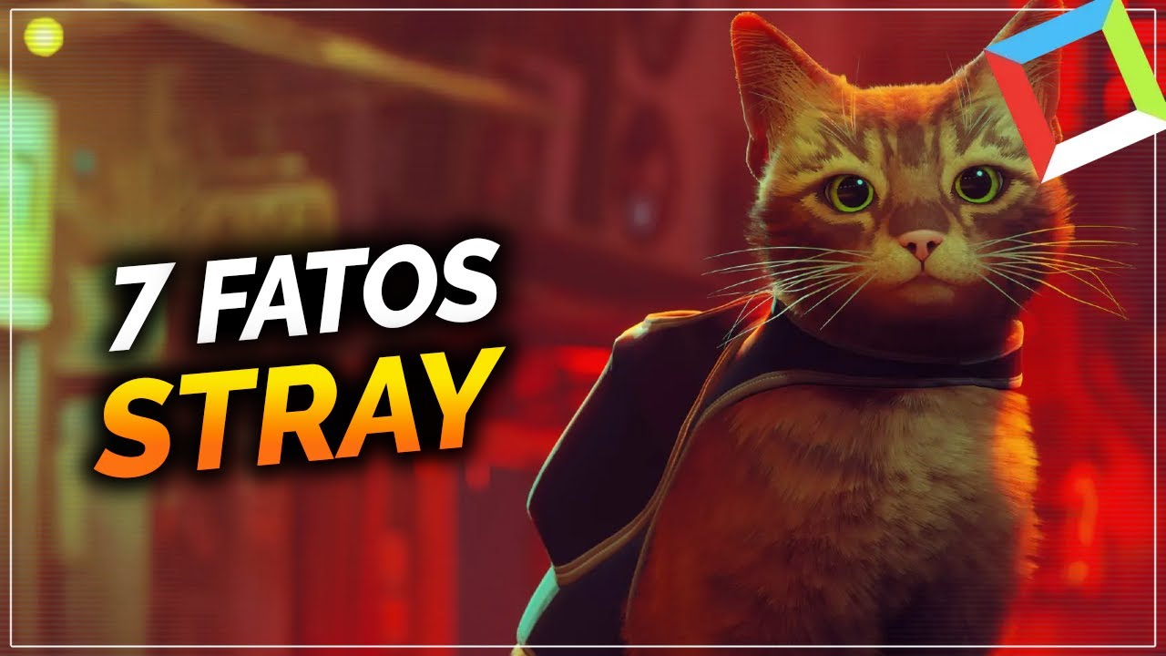 7 CURIOSIDADES SOBRE STRAY