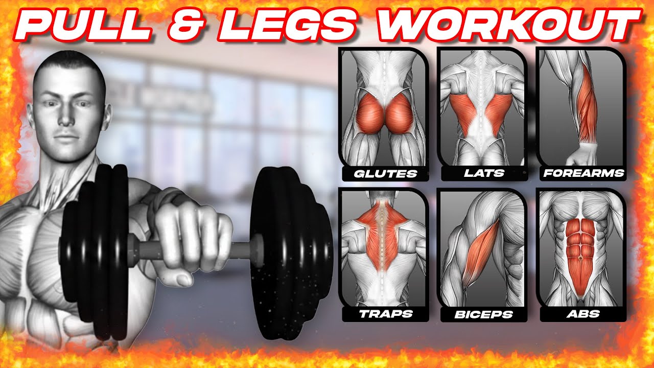 Dumbbell Pull & Legs Workout for Mass: Back, Biceps & Quads | Day 2