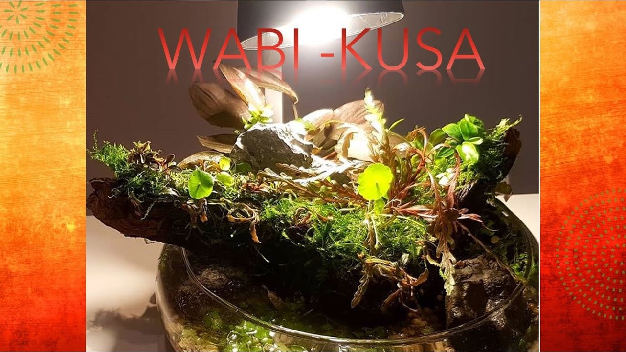 Un acquario emerso: lo stile Wabi-kusa