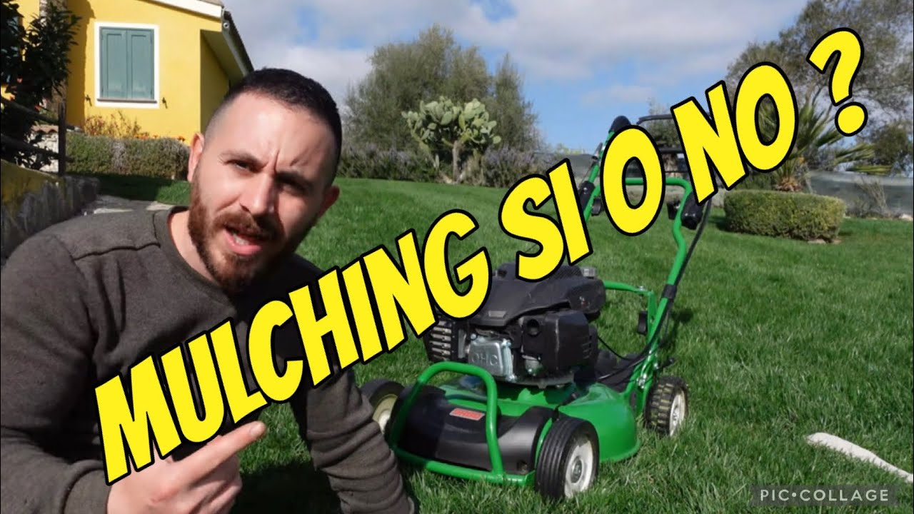 Il Taglio mulching del prato !! fa bene o fa male ?