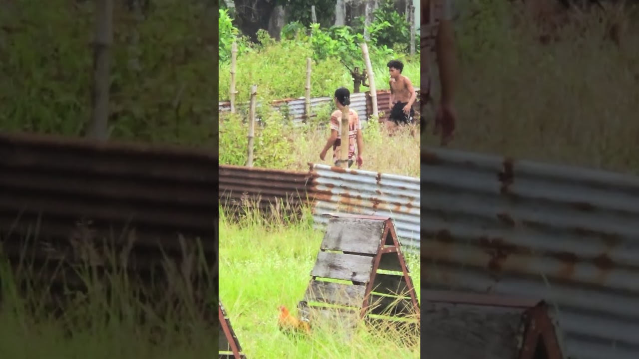 Catching Goat for my 60th Birthday in the Philippines