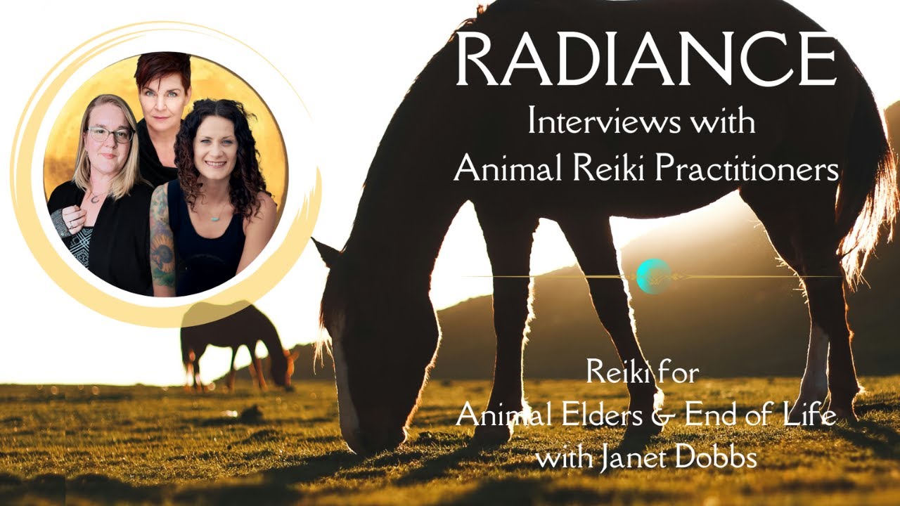 Radiance Series | Reiki for Animal Elders & End of Life  with Janet Dobbs