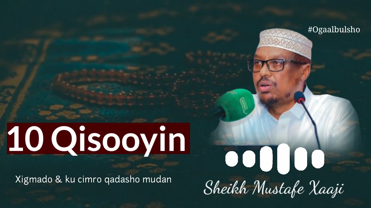 10 Qisooyin Xigmado iyo dhiiragalin ku jirto || Sheikh Mustafe Xaaji @OGAALBULSHO #shmustafeqisooyin