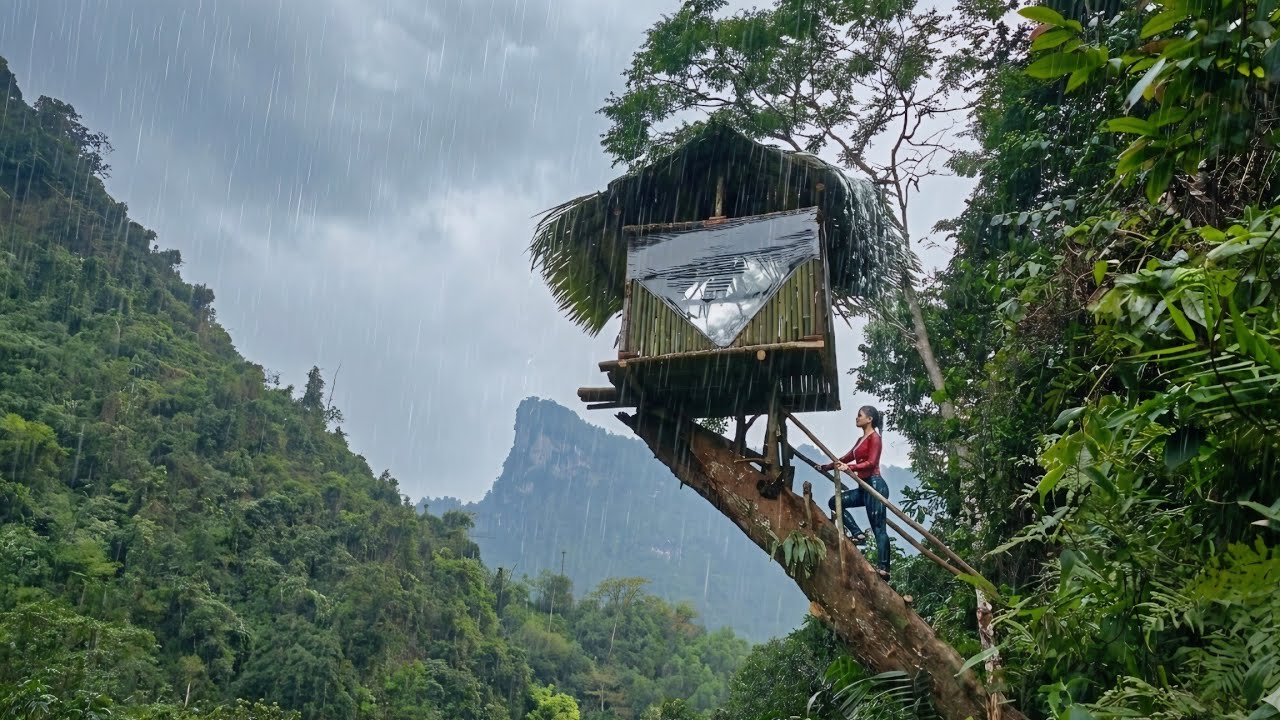Solo Survival || 14 Days Building a High Tree Shelter in the Tropical Jungle