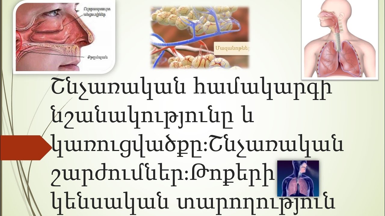 🫁Շնչառական համակարգի նշանակությունը և կառուցվածքը։Շնչառական շարժումներ։Թոքերի կենսական տարողություն🫁
